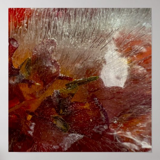 Iced Lilies, Poster (Vorne)