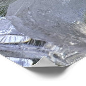 Iced Lilies, Poster (Ecke)