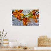 Iced Lilies, Poster (Küche)