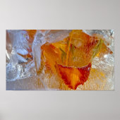 Iced Lilies, Poster (Vorne)