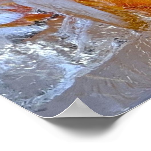 Iced Lilies, Poster (Ecke)