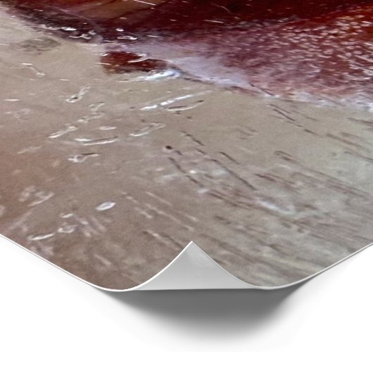 Iced Lily, Poster (Ecke)