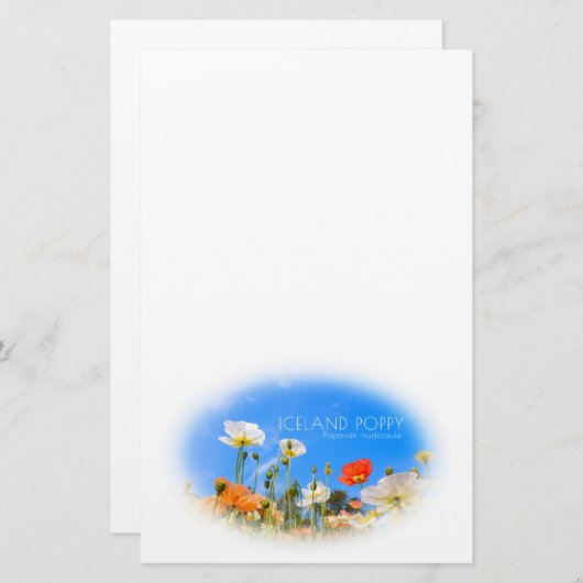 Iceland Poppy Briefpapier (Vorne/Hinten)