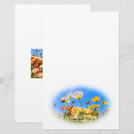 Iceland Poppy Briefpapier (Vorne/Hinten)