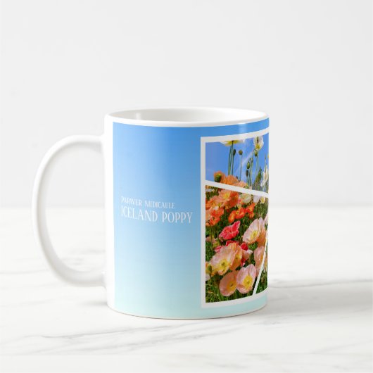 Iceland Poppy Kaffeetasse (Links)