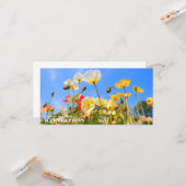 Iceland Poppy Karte (Vorderseite/Rückseite Beispiel)