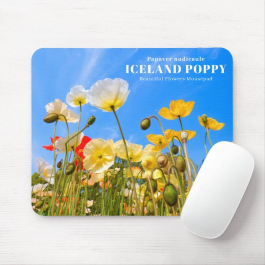 Iceland Poppy Mousepad (Mit Mouse)