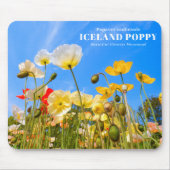 Iceland Poppy Mousepad (Vorne)