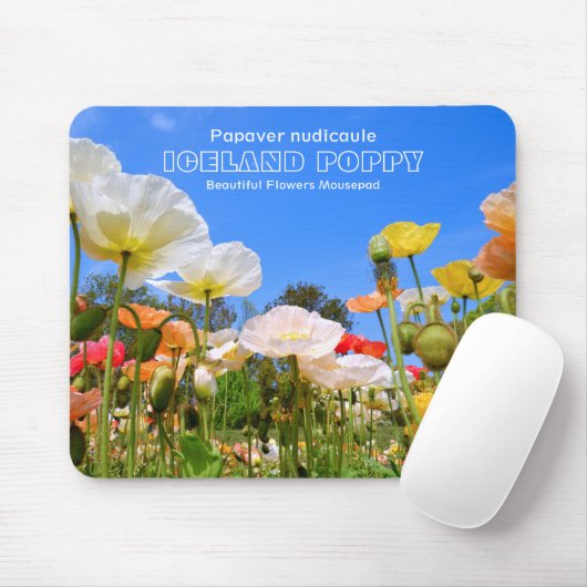 Iceland Poppy Mousepad (Mit Mouse)