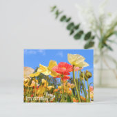 Iceland Poppy Postkarte (Stehend Vorderseite)