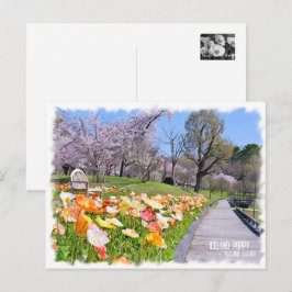 Iceland Poppy × Yoshino Cherry Postkarte