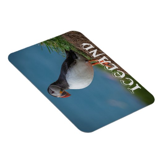 ICELAND PUFFIN MAGNET (Rechte Seite)