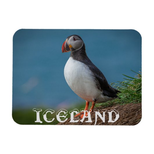 ICELAND PUFFIN MAGNET (Horizontal)