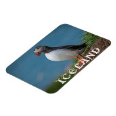 ICELAND PUFFIN MAGNET (Linke Seite)