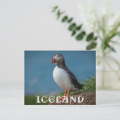 ICELAND PUFFIN POSTCARD POSTKARTE (Stehend Vorderseite)