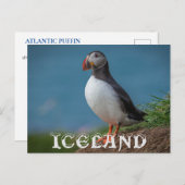 ICELAND PUFFIN POSTCARD POSTKARTE (Vorne/Hinten)