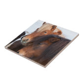 Icelandic Horse during winter on Iceland Fliese (Seite)