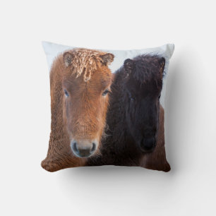 Icelandic Horse during winter on Iceland Kissen