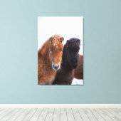 Icelandic Horse during winter on Iceland Leinwanddruck (Insitu (Holzboden))