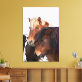 Icelandic Horse during winter on Iceland Leinwanddruck (Insitu (Wohnzimmer))