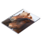 Icelandic Horse during winter on Iceland Notizblock (Linke Seite)