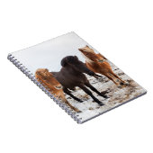 Icelandic Horse during winter on Iceland Notizblock (Rechte Seite)