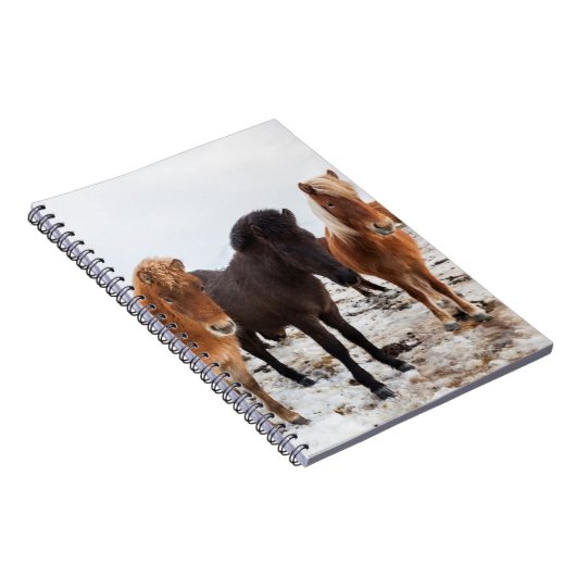 Icelandic Horse during winter on Iceland Notizblock (Rechte Seite)