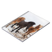 Icelandic Horse during winter on Iceland Notizblock (Linke Seite)