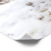 Icelandic Horse during winter on Iceland Poster (Ecke)