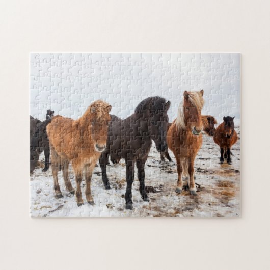Icelandic Horse during winter on Iceland Puzzle (Horizontal)