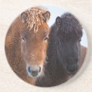Icelandic Horse during winter on Iceland Sandstein Untersetzer
