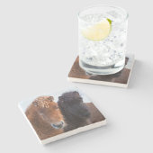 Icelandic Horse during winter on Iceland Steinuntersetzer (Seitenansicht)