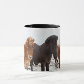Icelandic Horse during winter on Iceland Tasse (Zentrum)
