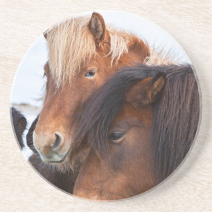 Icelandic Horse during winter on Iceland Untersetzer