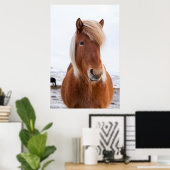 Icelandic Horse during winter Poster (Heimbüro)