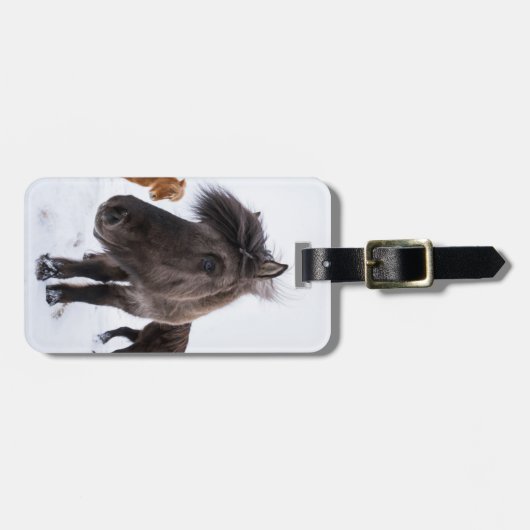 Icelandic Horse portrait Gepäckanhänger (Vorderseite horizontal)