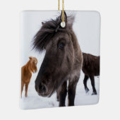 Icelandic Horse portrait Keramikornament (Rechts)