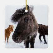 Icelandic Horse portrait Keramikornament (Rückseite)