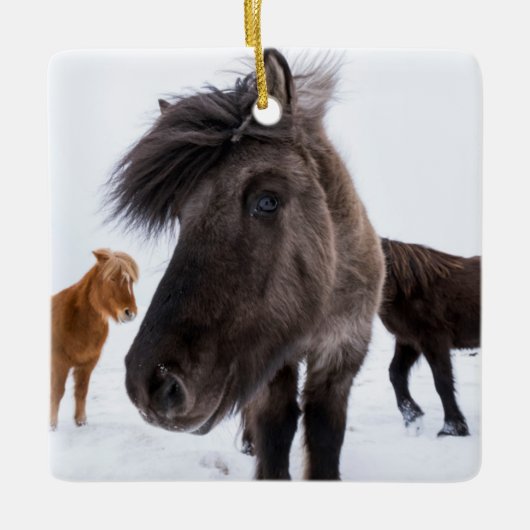 Icelandic Horse portrait Keramikornament (Vorderseite)