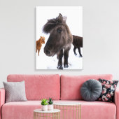 Icelandic Horse portrait Leinwanddruck (Insitu (Wohnzimmer))