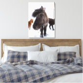 Icelandic Horse portrait Leinwanddruck (Insitu (Schlafzimmer))