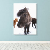 Icelandic Horse portrait Leinwanddruck (Insitu (Holzboden))