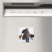 Icelandic Horse portrait Magnet (In Situ (Geschirrspüler))