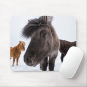Icelandic Horse portrait Mousepad (Mit Mouse)