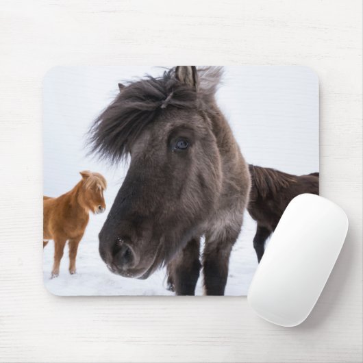 Icelandic Horse portrait Mousepad (Mit Mouse)