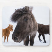 Icelandic Horse portrait Mousepad (Vorne)