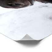 Icelandic Horse portrait Poster (Ecke)