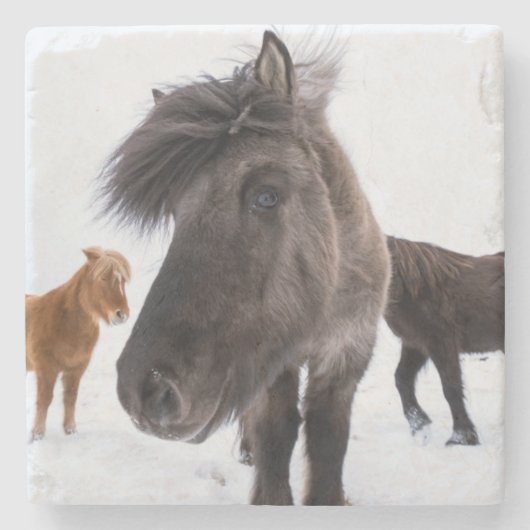Icelandic Horse portrait Steinuntersetzer (Vorderseite)