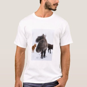 Icelandic Horse portrait T-Shirt