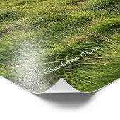 Icelandic horses; country scene fotodruck (Ecke)